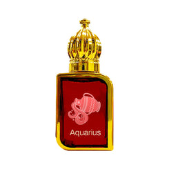 Aquarius – The Water-Bearer