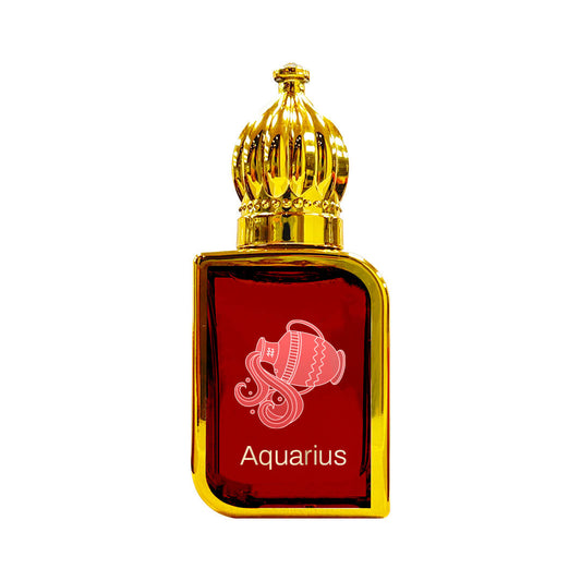 Aquarius – The Water-Bearer