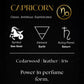 Capricorn – The Sea-Goat