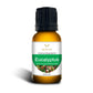 Eucalyptus Essential Oil