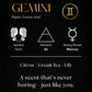 Gemini – The Twins