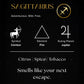 Sagittarius – The Archer